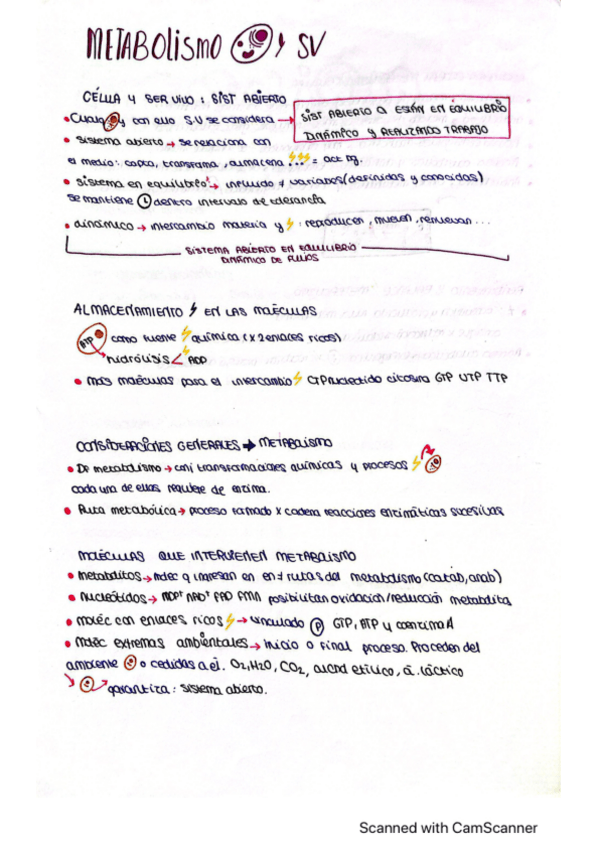 Miniatura del documento metabolismo-y-catabolismo.pdf