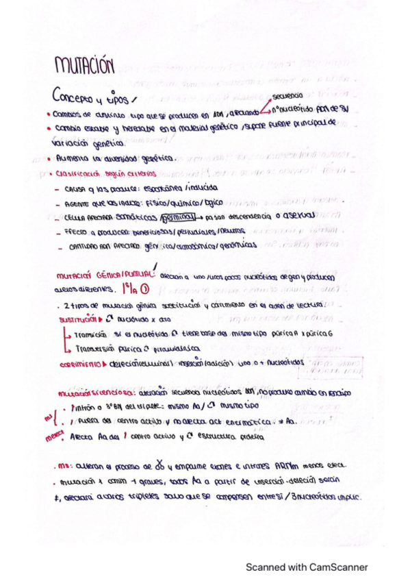 Miniatura del documento mutacion.pdf