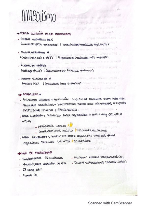 Miniatura del documento anabolismo.pdf