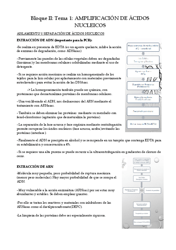 Miniatura del documento Teoria-Bloque-II-parte-Rosa.pdf