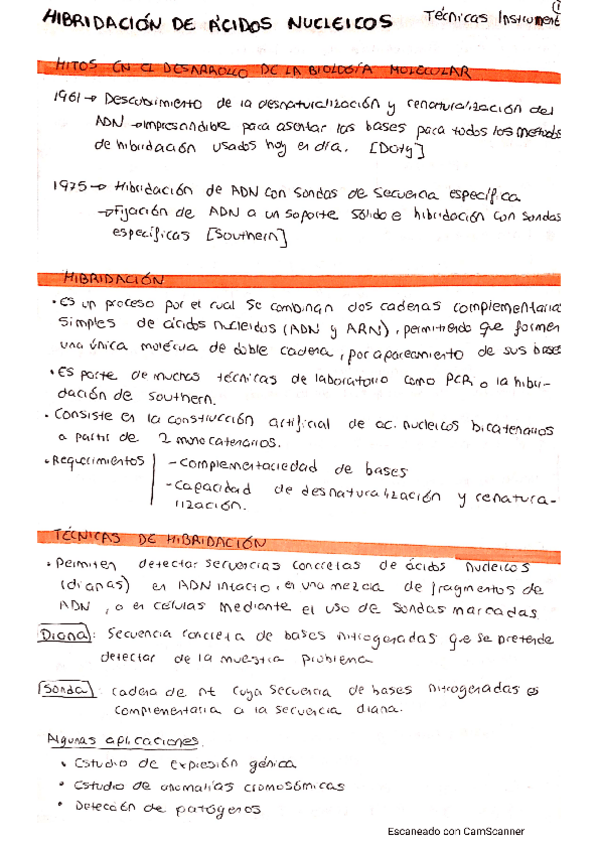 Miniatura del documento Hibridacion-de-acidos-nucleicos-teoria-a-mano.pdf