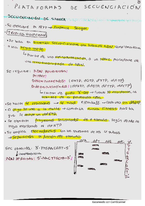 Miniatura del documento Plataformas-secuenciacion-apuntes.pdf