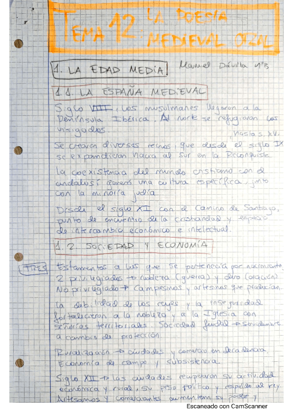Miniatura del documento TEMA-12-LA-POESIA-MEDIEVAL-ORAL.pdf