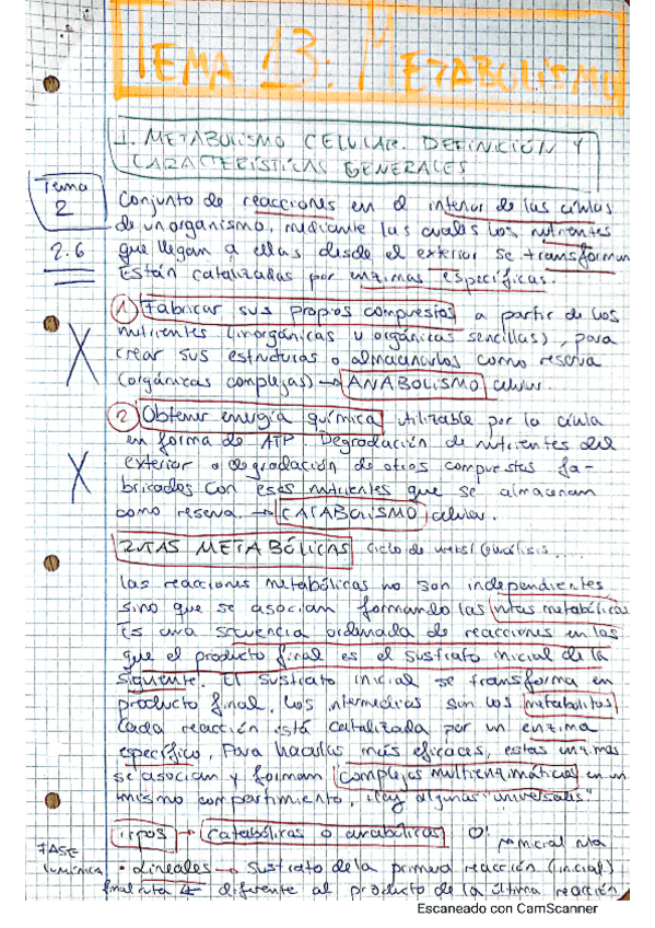 Miniatura del documento TEMA-13-METABOLISMO.pdf