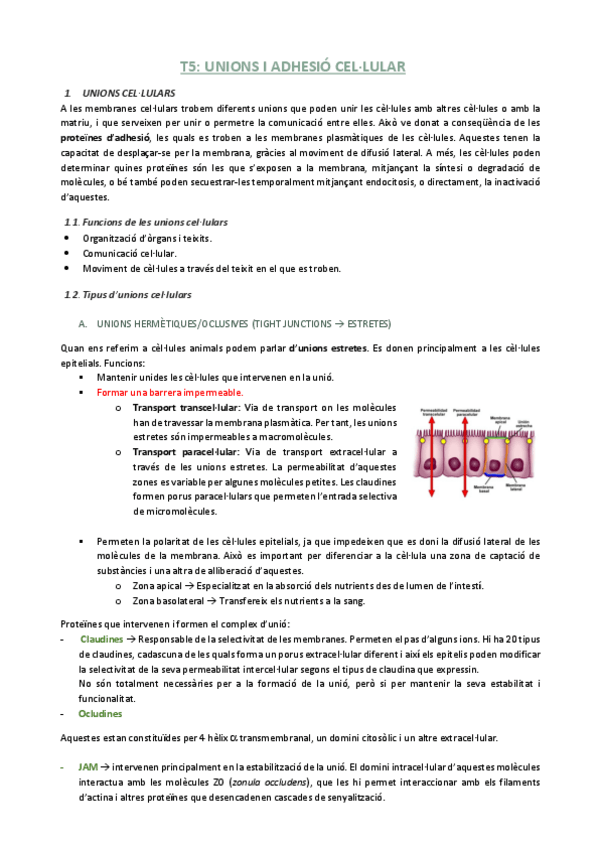 Miniatura del documento T5.pdf
