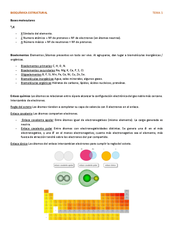Miniatura del documento PAR1-Tema-1-Bases-moleculares.pdf