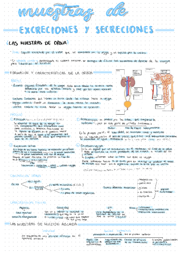 Miniatura del documento U7-Parte1-Muestras-de-excreciones-y-secreciones.pdf