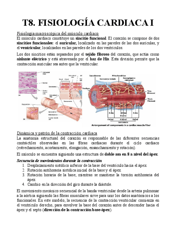 Miniatura del documento T8.pdf