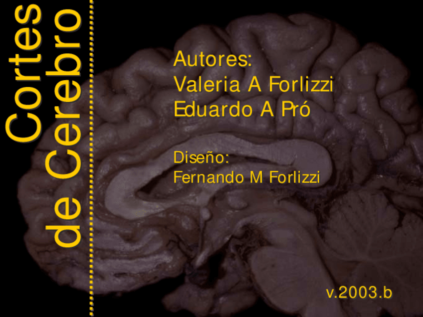 Miniatura del documento Cortes-de-Jacob.pdf