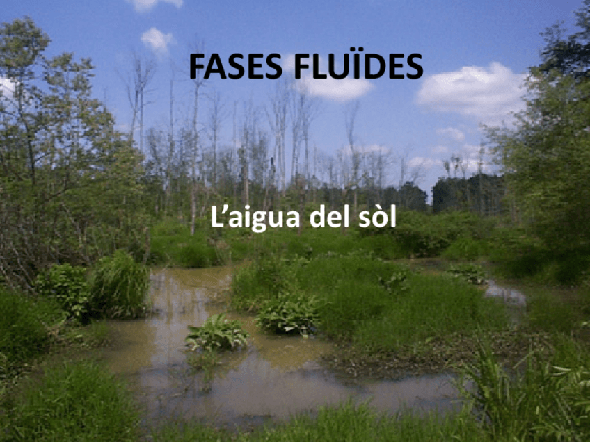 Miniatura del documento FASESFLUIDES.pdf