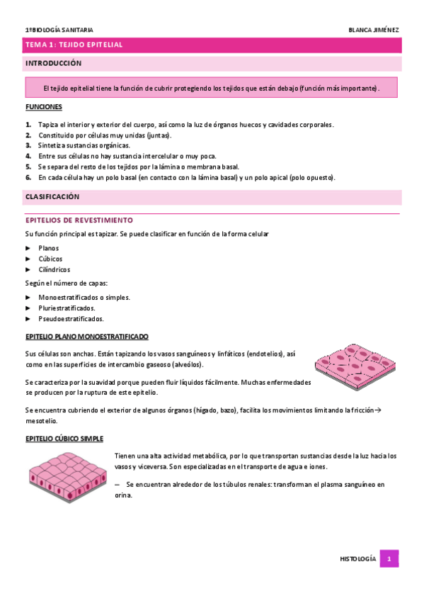 Miniatura del documento TEMA-1-EL-TEJIDO-EPITELIAL.pdf
