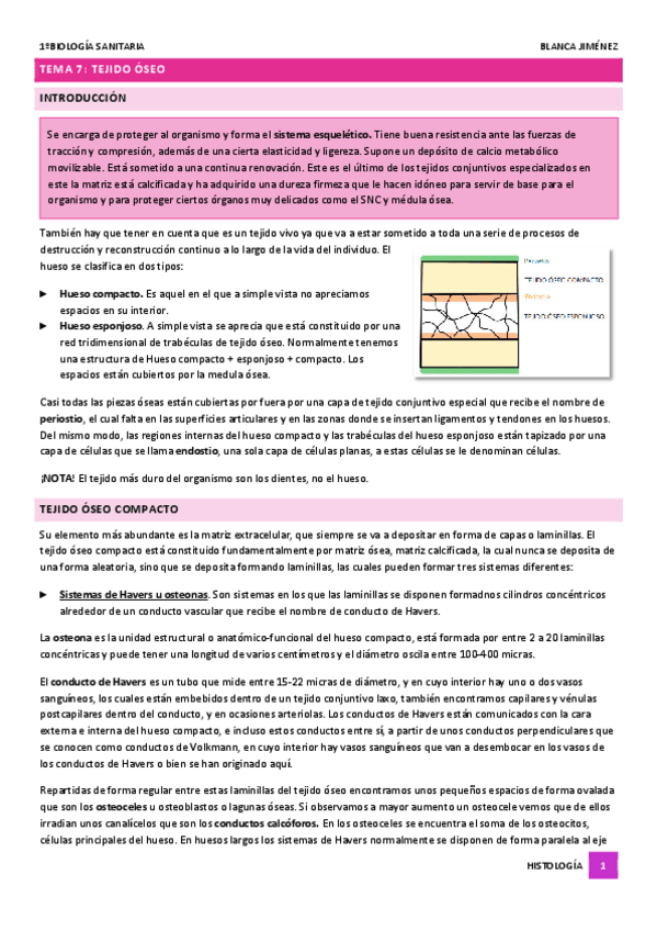 Miniatura del documento TEMA-7-TEJIDO-OSEO.pdf