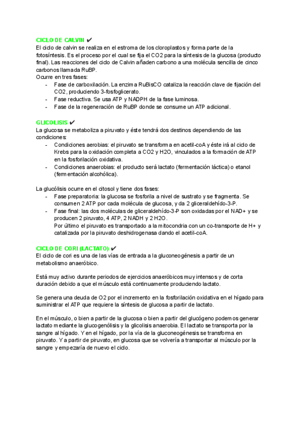 Miniatura del documento ESTUDIAR-CICLOS-EXAMEN.pdf