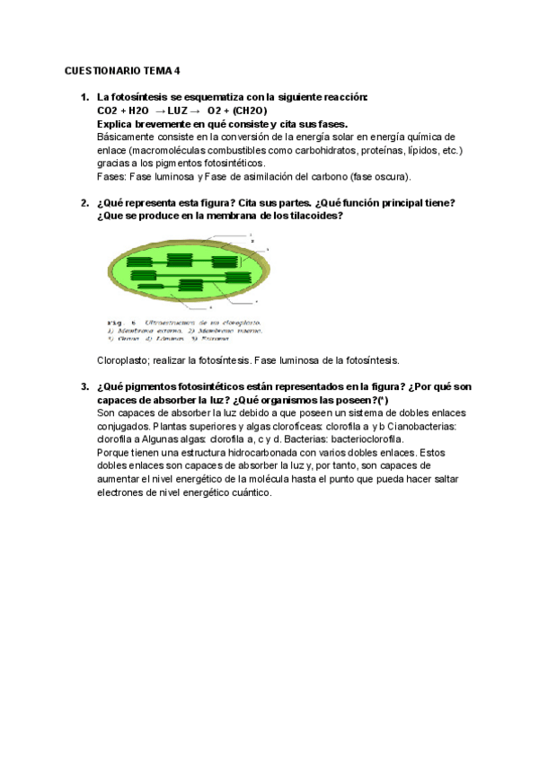 Miniatura del documento CUESTIONARIO-TEMA-4-SOLUCIONES.pdf