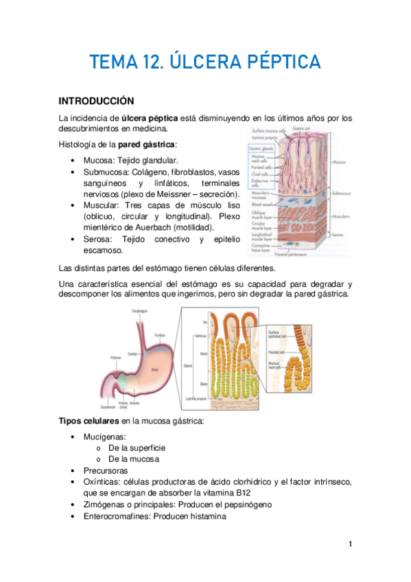Miniatura del documento TEMA-12.pdf