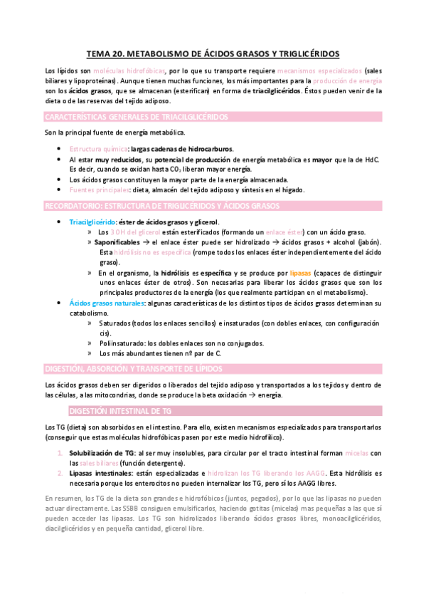 Miniatura del documento TEMA20.pdf