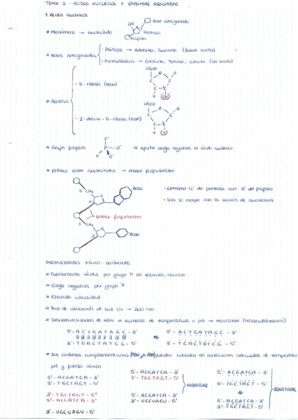 Miniatura del documento Tema-2.pdf