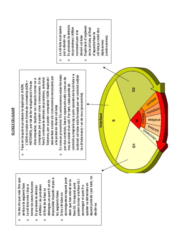 Miniatura del documento reproduccio-cellular.pdf
