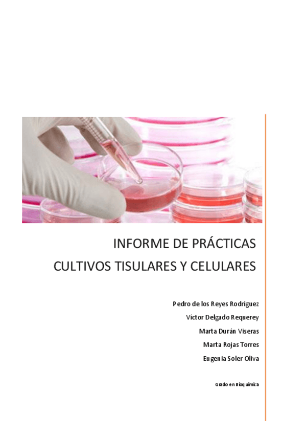 Miniatura del documento Informe de prácticas de Cultivos Tisulares y Celulares definitivo.pdf