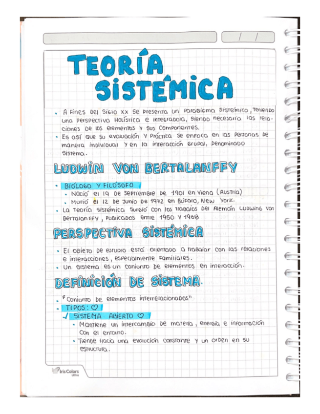 Miniatura del documento TEORIA-SISTEMICA.pdf