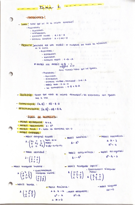 Miniatura del documento Tema-1.pdf