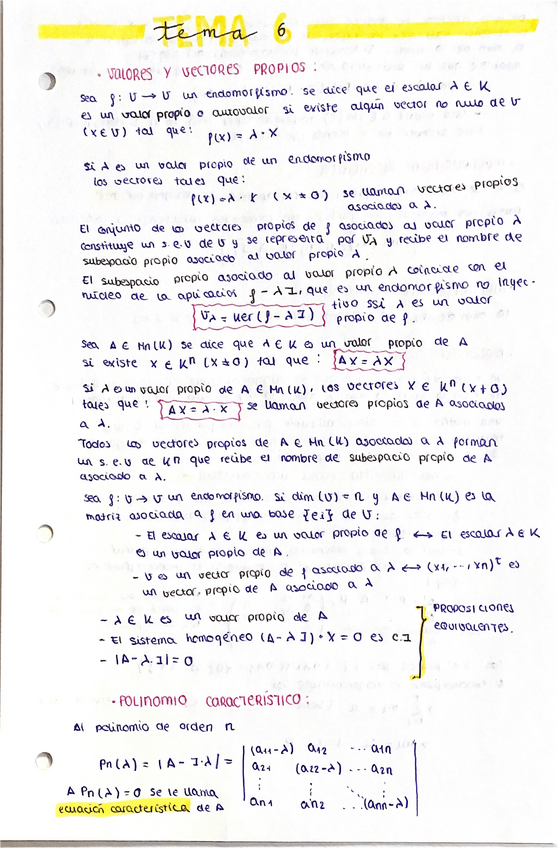 Miniatura del documento Tema-6.pdf