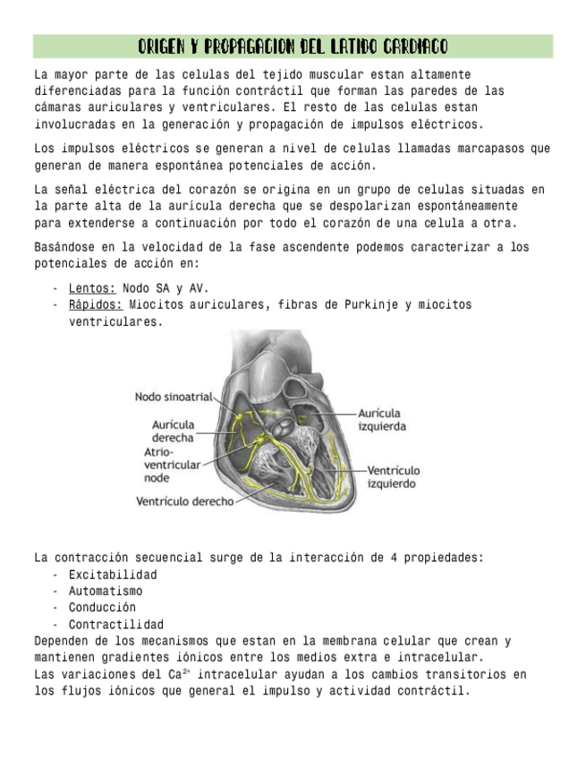 Miniatura del documento 7.pdf