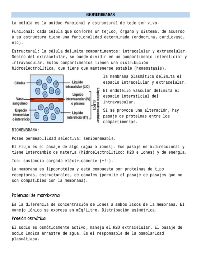 Miniatura del documento 1.pdf