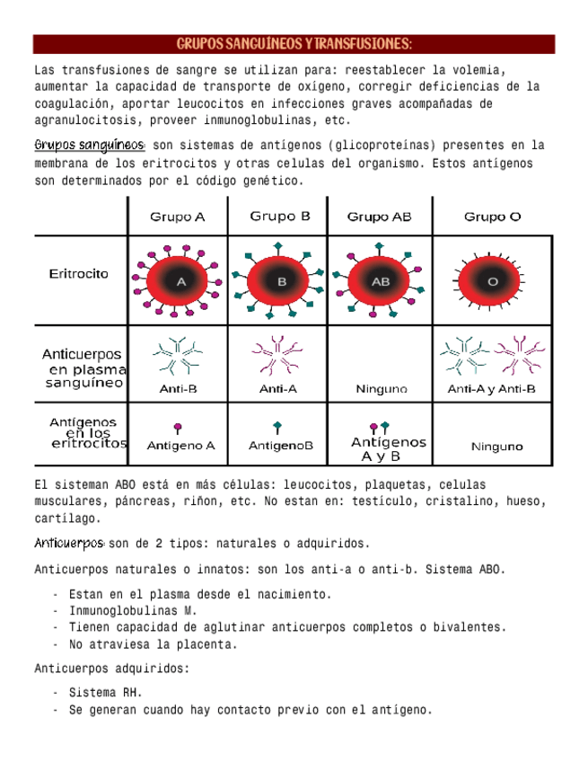 Miniatura del documento 3.pdf