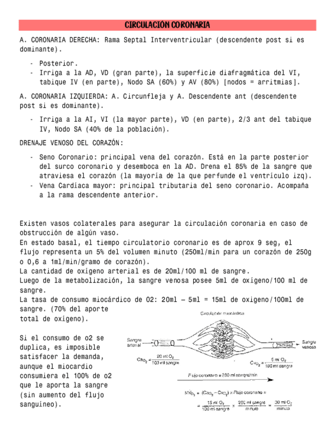 Miniatura del documento 13.pdf