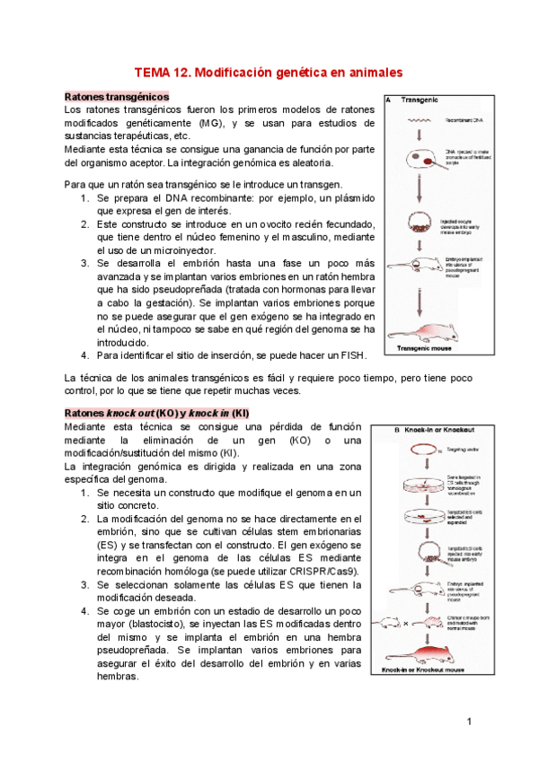Miniatura del documento TEMA-12.pdf