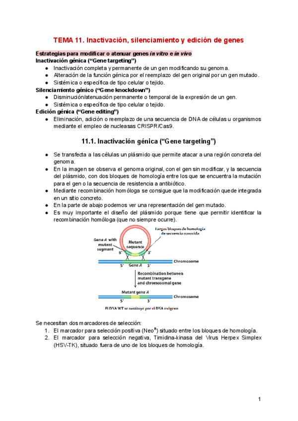 Miniatura del documento TEMA-11.pdf