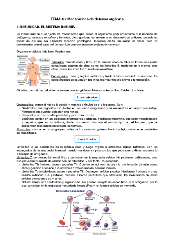 Miniatura del documento T16-Inmunologia.pdf