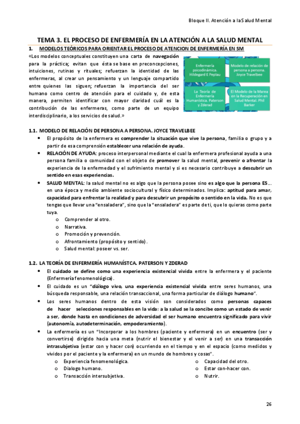 Miniatura del documento Libro-completo-Salud-Mental-FINAL-30-43.pdf
