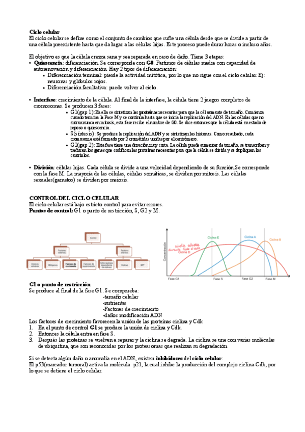 Miniatura del documento T3-Ciclo-celular.pdf