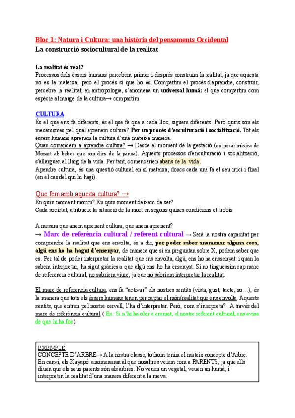 Miniatura del documento Bloc-1-Natura-i-Cultura-una-historia-del-pensaments-Occidental.pdf