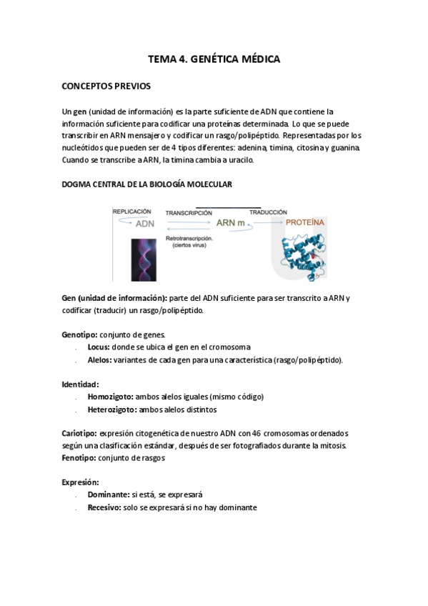 Miniatura del documento TEMA-4.pdf