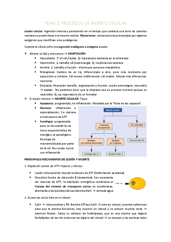 Miniatura del documento TEMA-3.pdf
