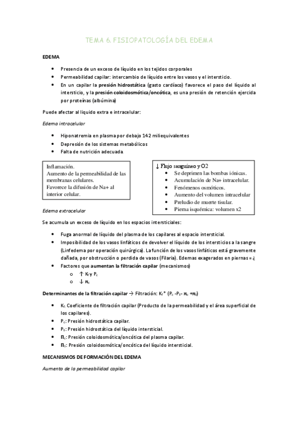 Miniatura del documento TEMA-6.pdf