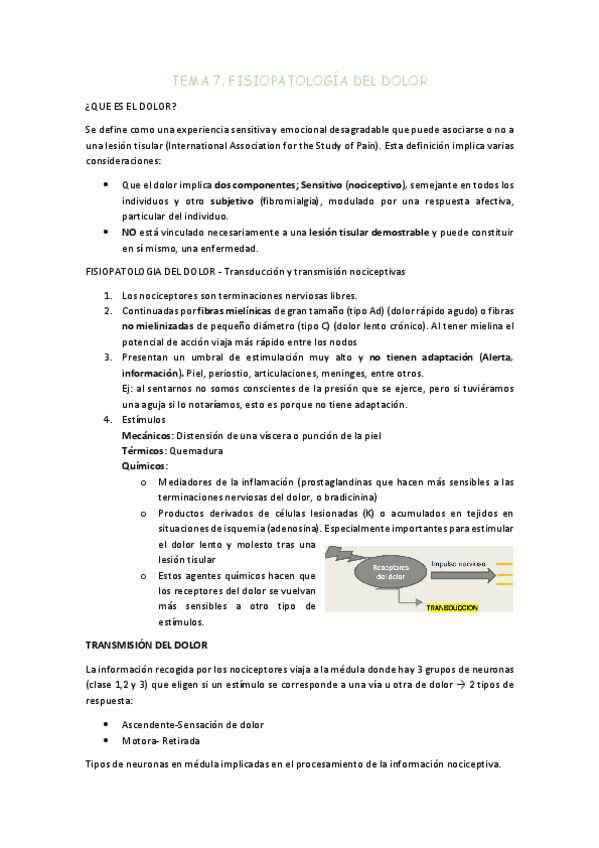 Miniatura del documento TEMA-7.pdf