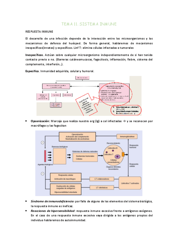 Miniatura del documento TEMA-11.pdf