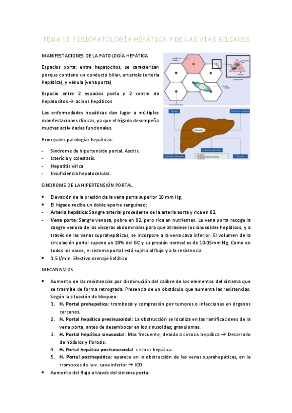 Miniatura del documento tema-13.pdf