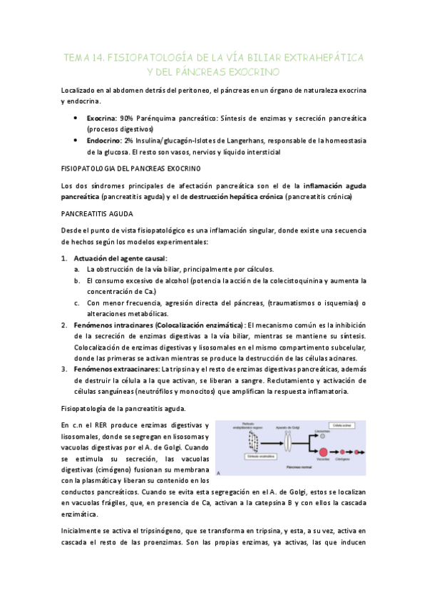 Miniatura del documento TEMA-14-pancreas.pdf