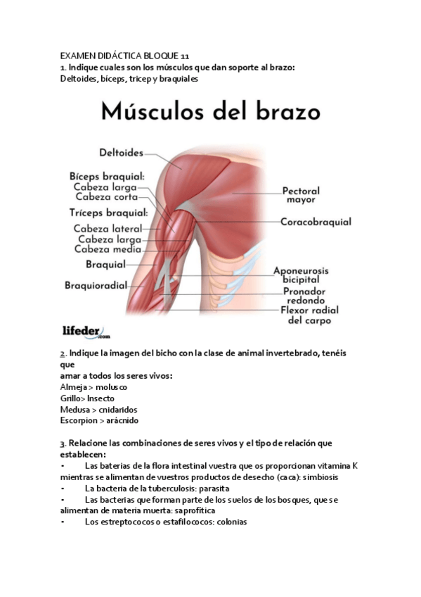 Miniatura del documento Prueba-teorica-5.pdf