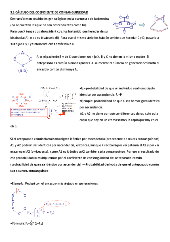 Miniatura del documento TEMA-15-wuolah-7.pdf
