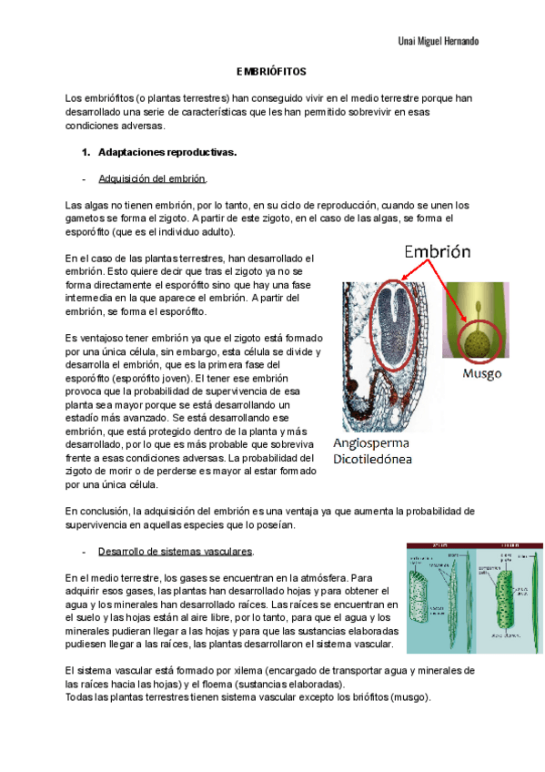Miniatura del documento 3.pdf