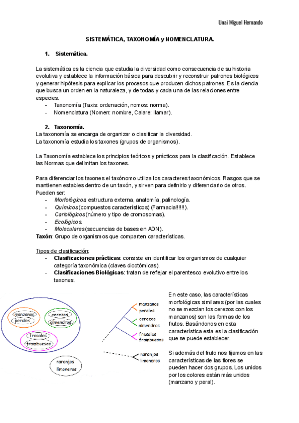Miniatura del documento 2.pdf