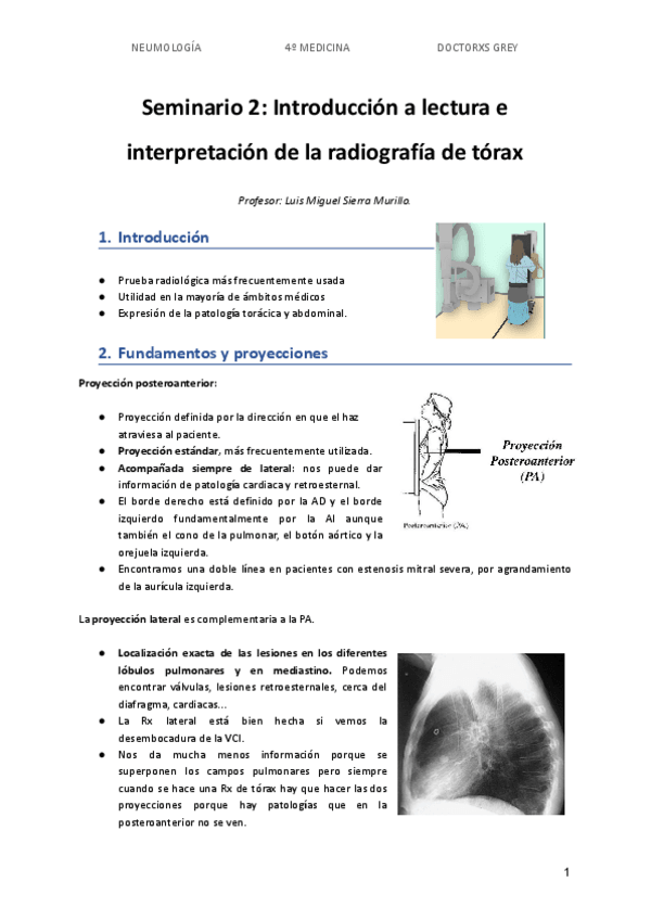 Miniatura del documento Seminario-2-NEUMO.pdf