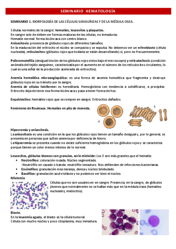 Miniatura del documento SEMINARIO-hematologia.pdf