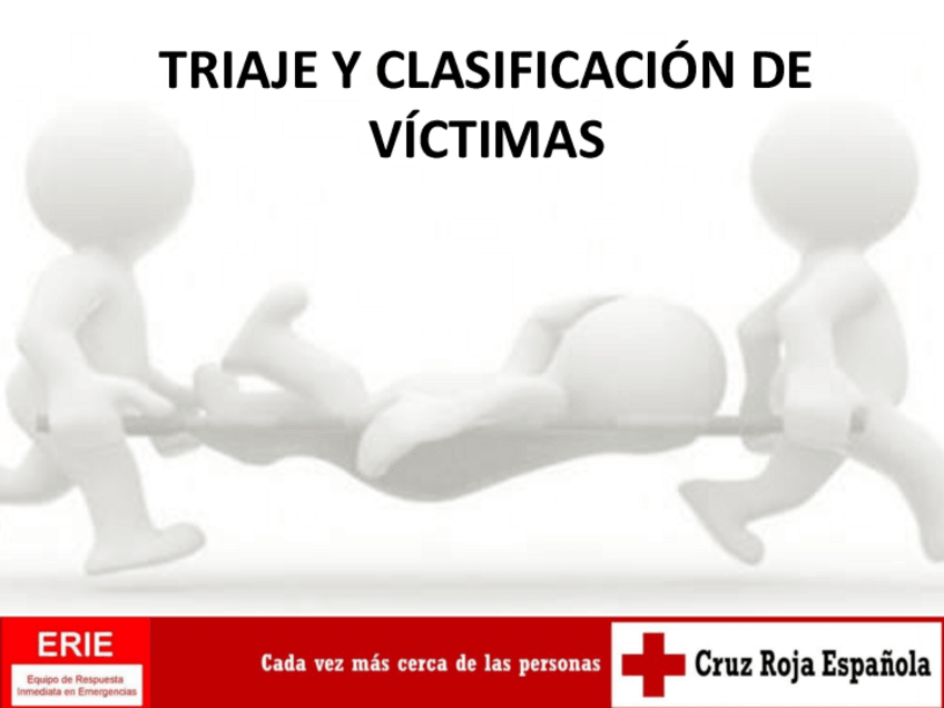 Miniatura del documento SEMINARIOTRIAJE22.pdf